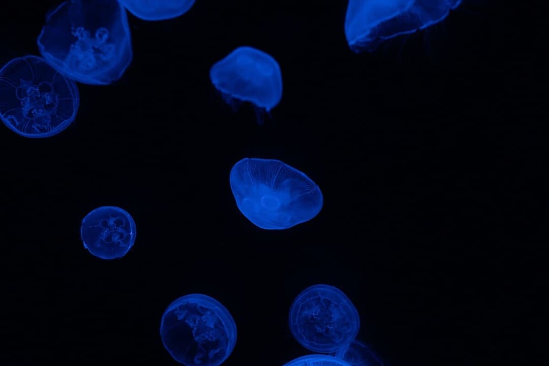 5 Amazing Bioluminescent Organisms That Light Up the Night