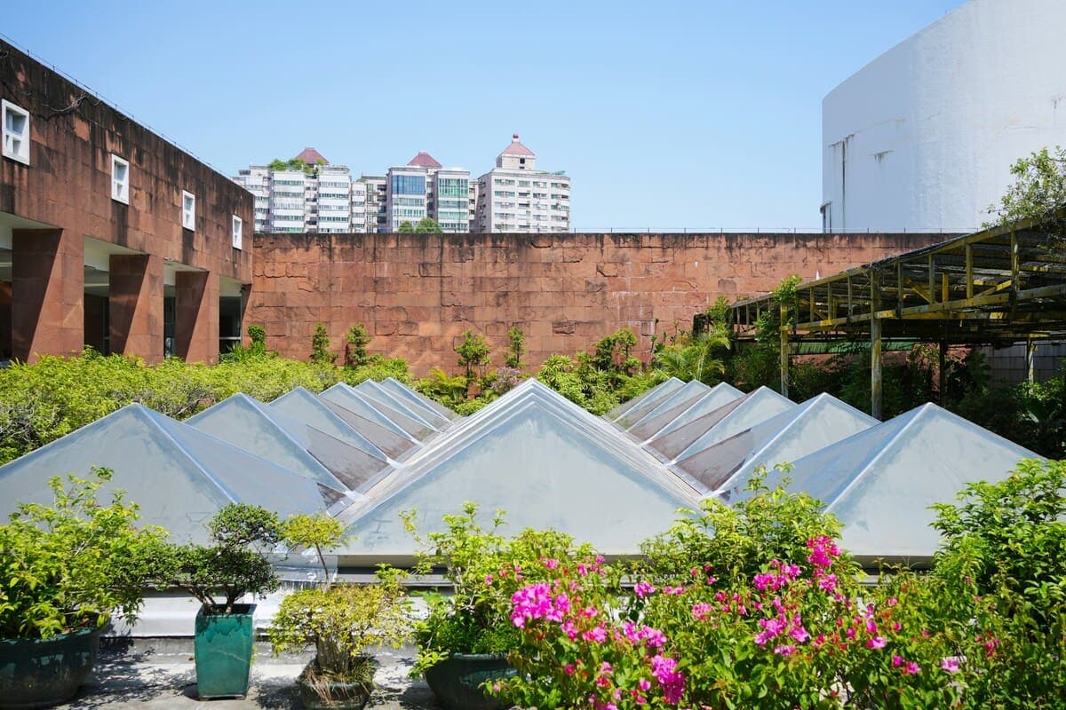 How Urban Gardens Can Combat Climate Change cover image