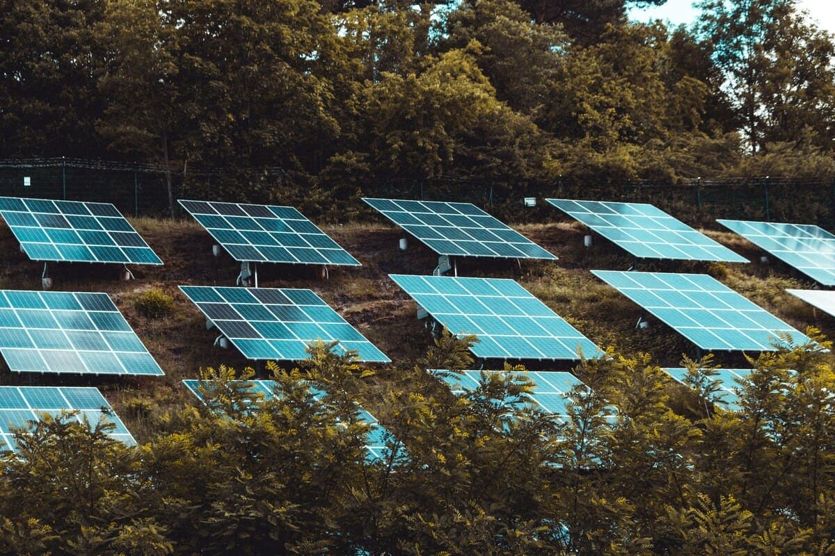 Renewable Energy Innovations Inspired by Nature cover image