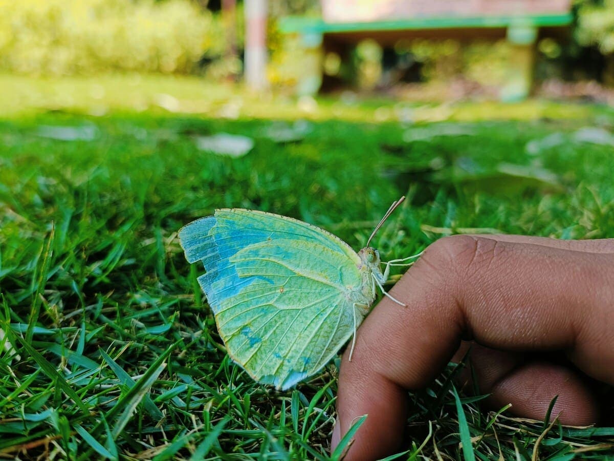 Foundation of Eco Explorer