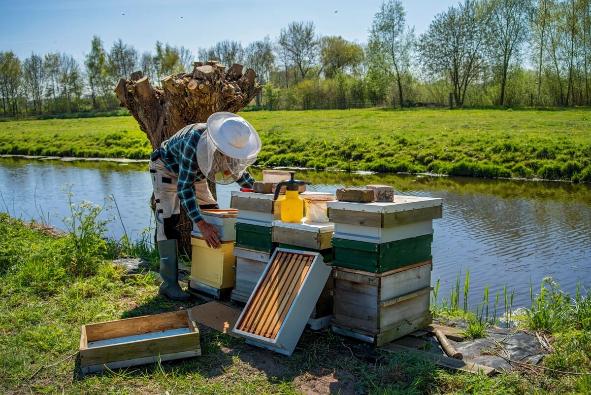 Urban Beekeeping Initiative