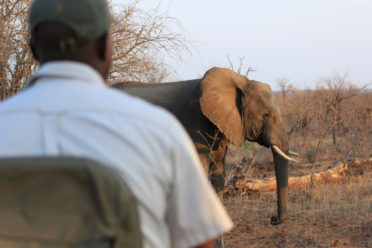 Conservation in Action