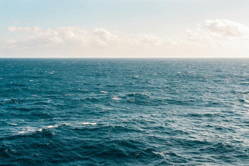 New Marine Sanctuary Protects 50,000 km² of Pacific Ocean