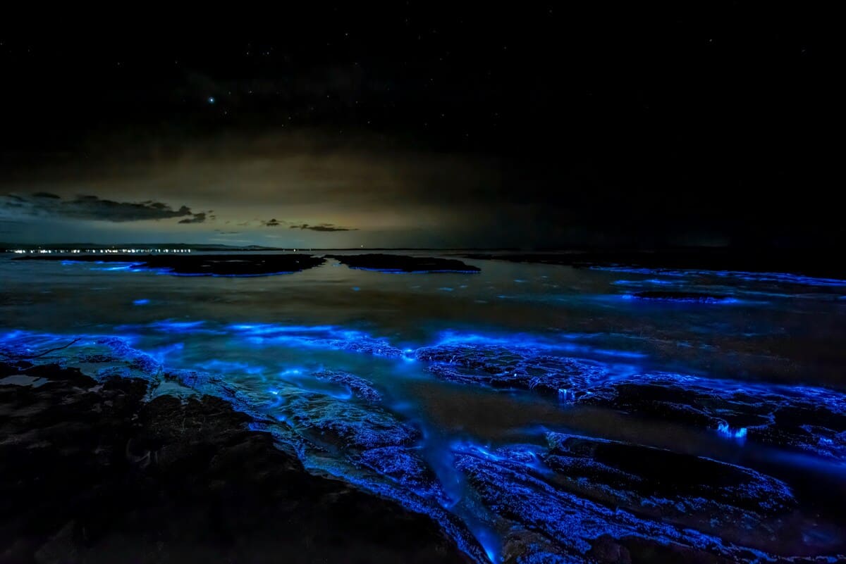 Bioluminescent waves in the Maldives