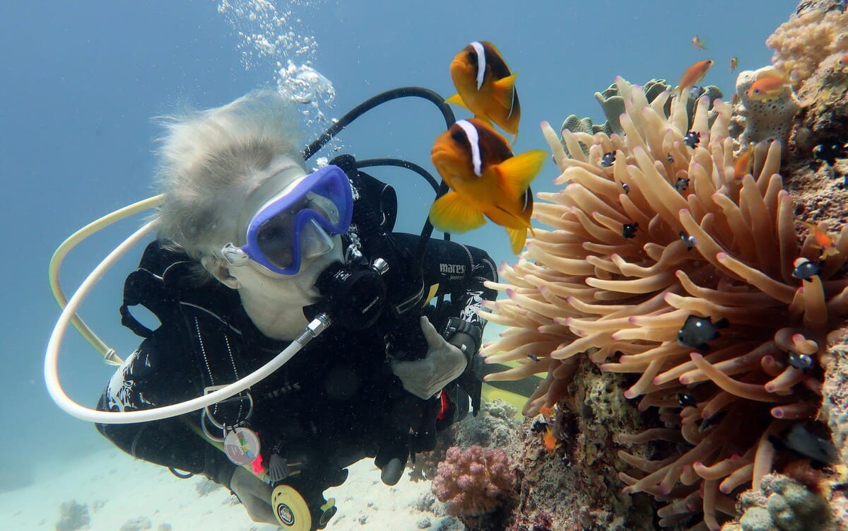 Diver exploring a coral reef
