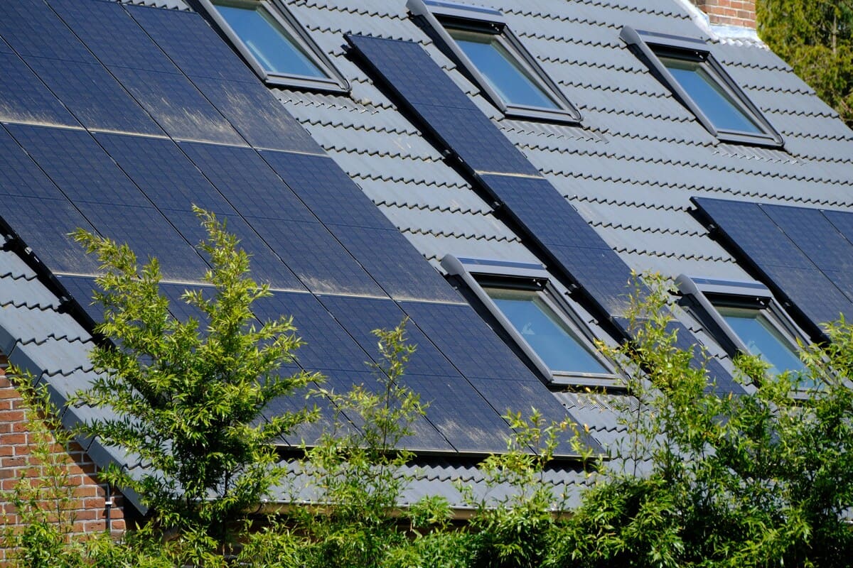 Solar panels shaped like leaves