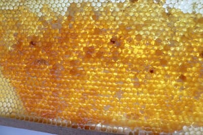 Natural Beeswax Food Wraps